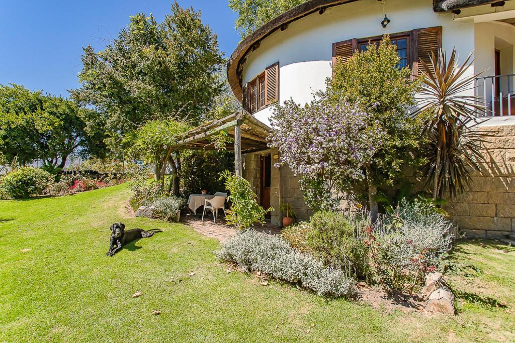 Picardie Guest Farm 帕尔 外观 照片